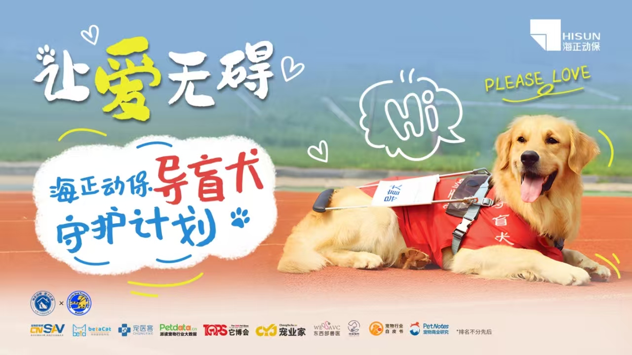 让爱无碍·导盲犬守护妄想